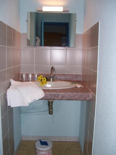 Citotel Hotel Le Commerce Severac-d'Aveyron Room photo